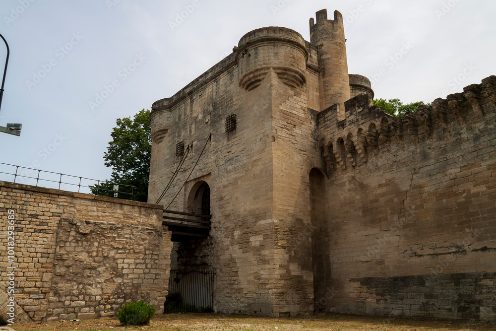 photographie de voyage, Avignon, la cité des papes, France, tourisme, touristique, patrimoine Français photographie de voyage, Avignon, la cité des papes, France, tourisme, touristique, patrimoine Français