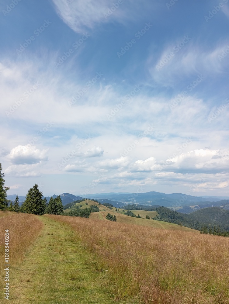 Mountain Mountain