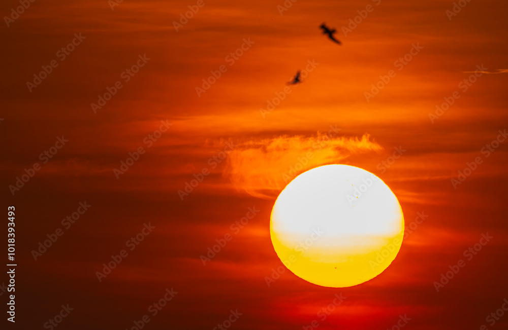 Beautiful omega sunrise in the orange sky Beautiful omega sunrise in the orange sky