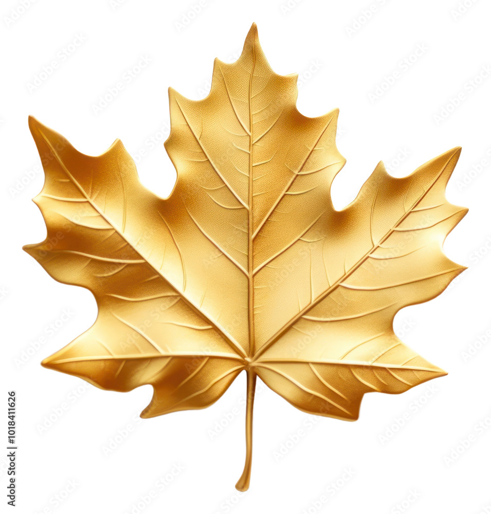 Fototapeta premium PNG Fall leaf plant tree gold.