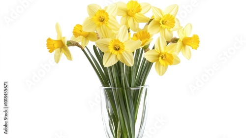 Wallpaper Mural Classic daffodils in a simple glass vase, their yellow petals and green stems standing out on a white backdrop. Torontodigital.ca