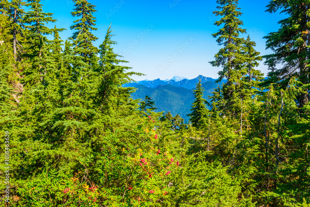 Fototapeta premium Beautiful landscape of valley in Alpine mountains, small trail, hike root, majestic picturesque view in sunny day