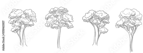 Tree collection black