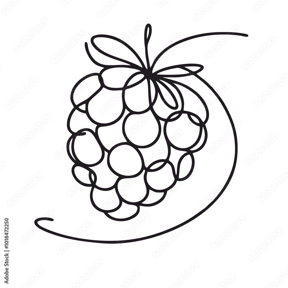 Blackberry. Icon. Vector drawing. One-line drawing. A simple drawing depicting a continuous line of a item . Blackberry. Icon. Vector drawing. One-line drawing. A simple drawing depicting a continuous line of a item .