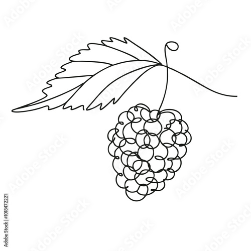 Mulberry. Icon. Vector drawing. One-line drawing. A simple drawing depicting a continuous line of a item .