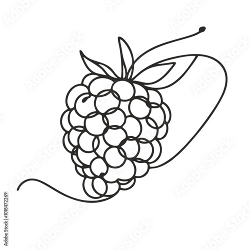 Blackberry. Icon. Vector drawing. One-line drawing. A simple drawing depicting a continuous line of a item .