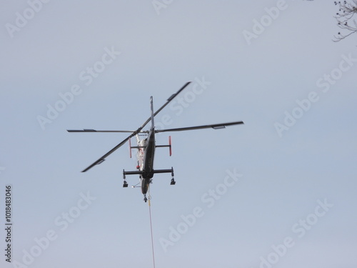 Zürich-Witikon: A T-Max Helicopter carring out huge trees. The two rotators are circulating opposite to each other photo