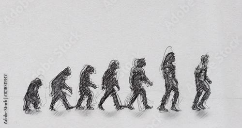 March of Progress from Primate to Modern Human Pencil Sketch