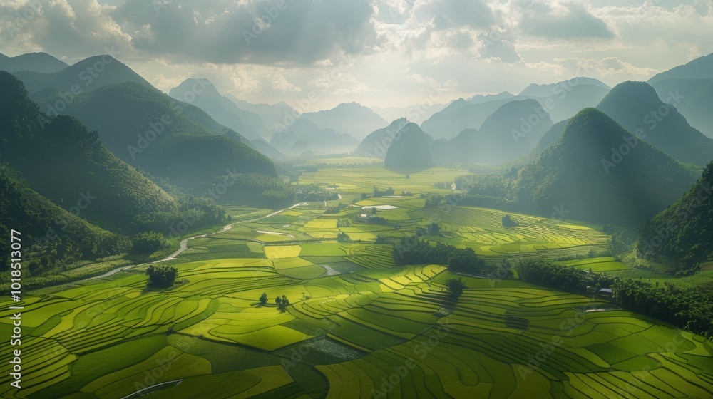 Obraz premium photograph of Rice fields in Bac Son valley, Lang Son province, Vietnam realistic