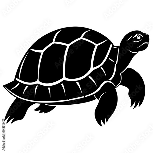 Tortoise silhouette vector illustration