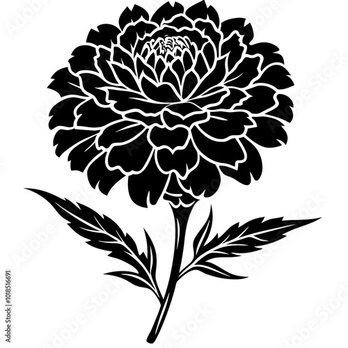 Marigold silhouette vector illustration