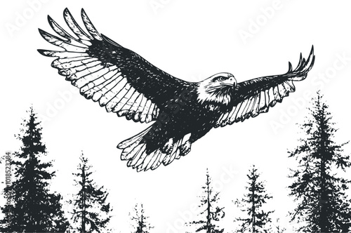 Majestic eagle soaring high over a landscape. Vector retro hand drawn illustration. photo