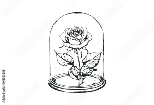 Detailed illustration of a medieval sword. Vector retro hand drawn illustration.