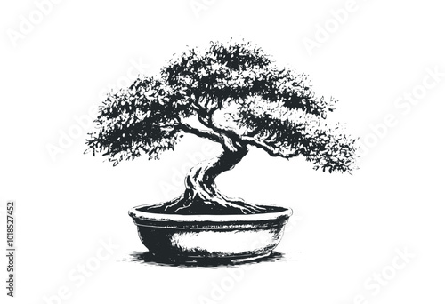 Artistic black and white bonsai tree in a pot. Vector retro hand drawn illustration.