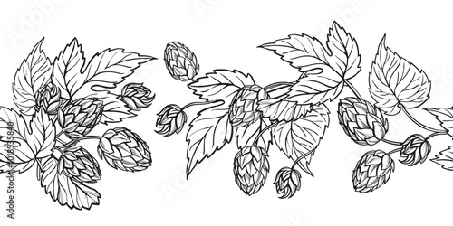 vector board of hop plant with leaves and buds, hand drawn craft beer ingredients, black and white illustration of branch humulus lupulus, inked illustration isolated on white background