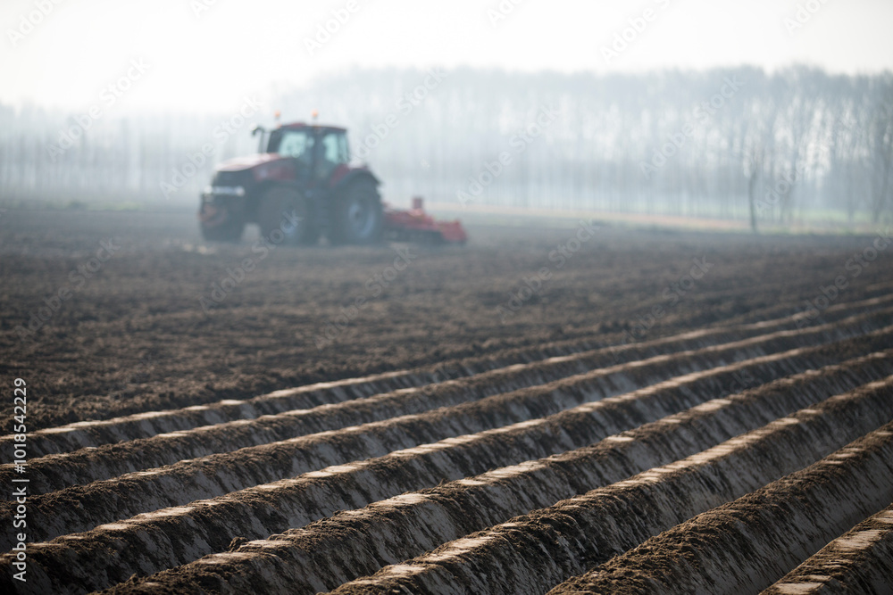 Fototapeta premium farmer on land 