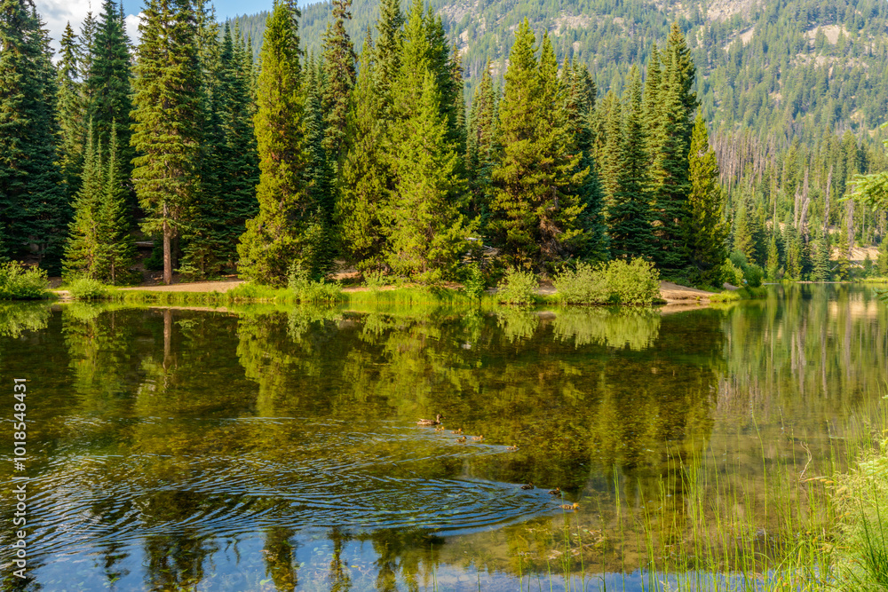 Obraz premium Majestic mountain lake in Canada. Lightning Lake in Manning Park in British Columbia.