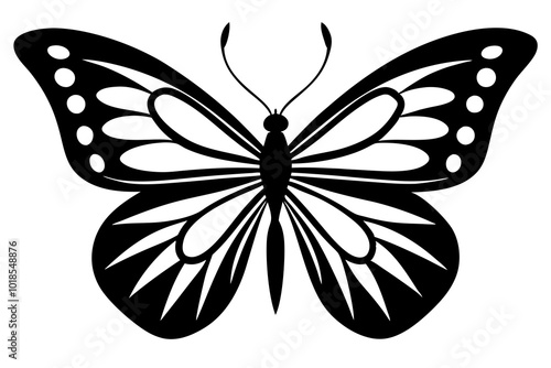 black butterfly isolated on white