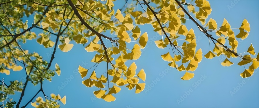 Ginko yellow autumn leaves against blue sky. AI generated Ginko yellow autumn leaves against blue sky. AI generated