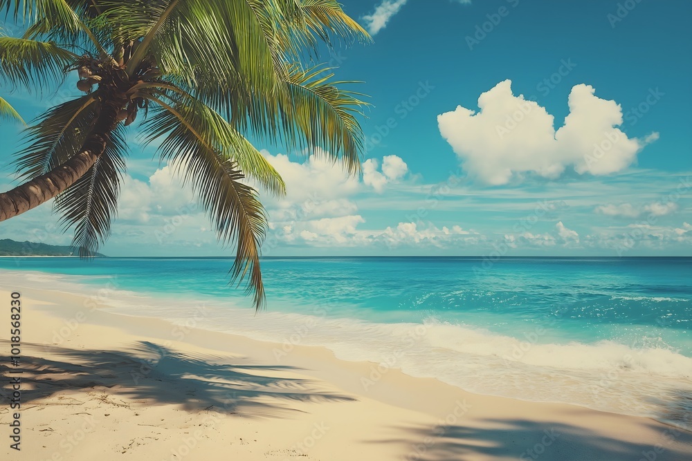 A Tropical Beach With Turquoise Waters, White Sandy Shores, and a Palm Tree Leaning Into the Frame, High Resolution Wallpaper or Background A Tropical Beach With Turquoise Waters, White Sandy Shores, and a Palm Tree Leaning Into the Frame, High Resolution Wallpaper or Background