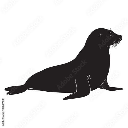 black sea lion