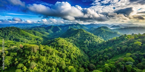 Aerial view of lush tropical forest in mountains with blue sky and clouds