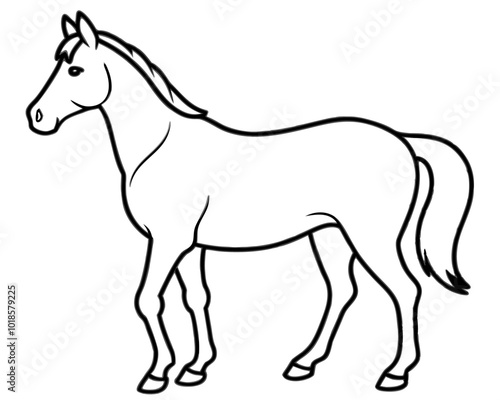 Horse Outline illustration,Horse Outline clip art