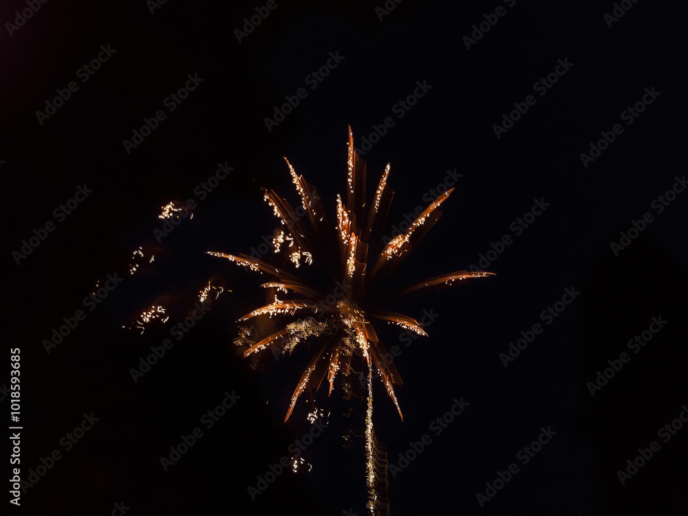 Das Feuerwerk am Abendhimmel
Das Feuerwerk am Abendhimmel