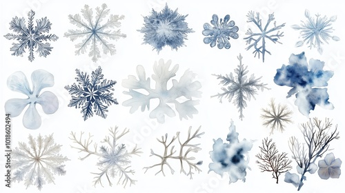 Watercolor illustration of various abstract snowflakes and ice crystal designs