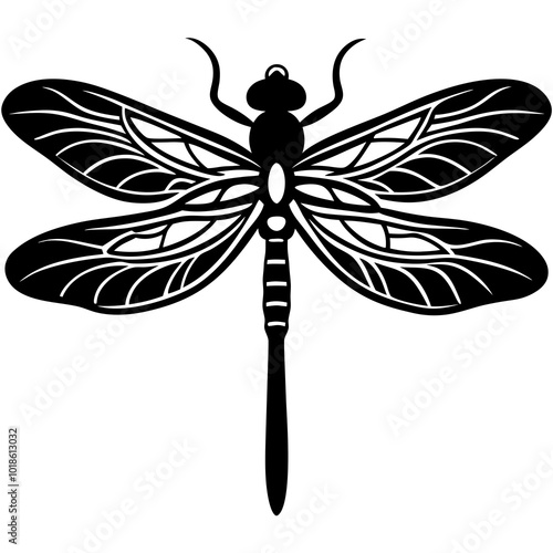 dragonfly illustration
