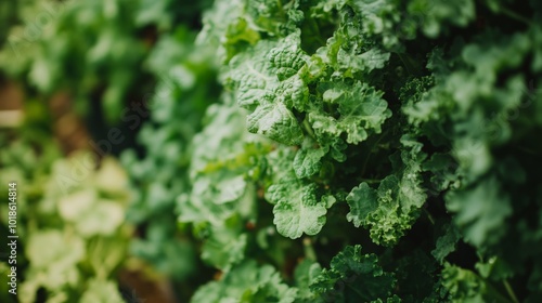 Vertical Farm Rows in Lush Greenery from Side View