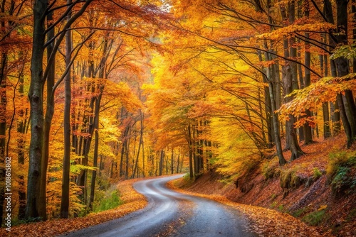 Autumn forest road covered in leaves beneath golden canopy