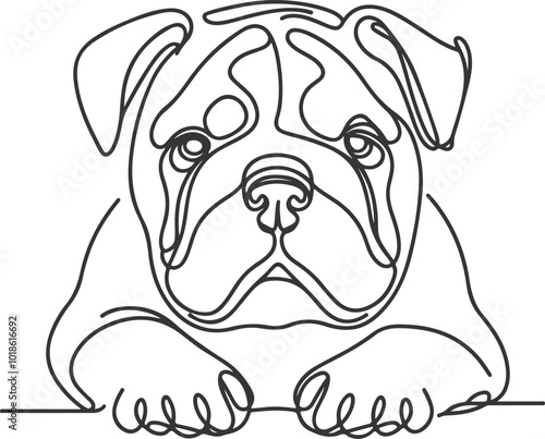 Line art French bulldog illustration. Ink style, cute animal for print Vector linear silhouette. photo