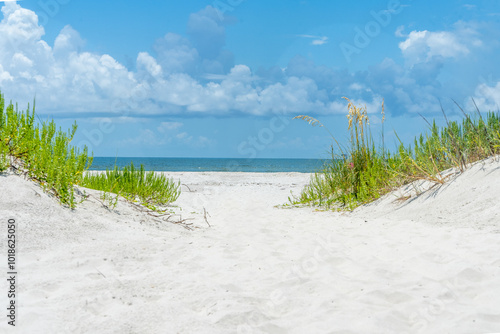 Fototapeta Naklejka Na Ścianę i Meble -  sand dunes and beach