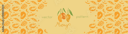 Template tropical banner with vector mango pattern. Tropical fruit drawings. Color sketches of organic mangoes. Banner with tropical fruits. Exotic fruit ornament. Mangos background. Label design.