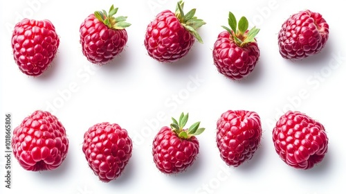 A row of ten fresh red raspberries arranged in a row on a white background.