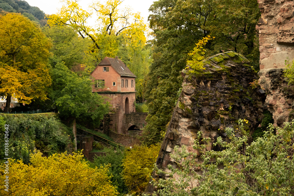 Obraz premium An old cottage on the ruins of a ruined castle, Heidelberg, Germany
