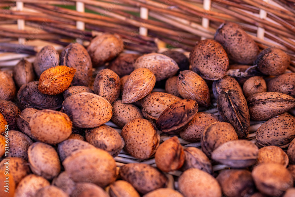 Almendras cultivadas de manera ecológica en una huerta. Almendras cultivadas de manera ecológica en una huerta.
