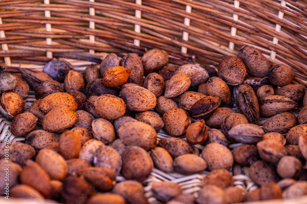 Almendras cultivadas de manera ecológica en una huerta. Almendras cultivadas de manera ecológica en una huerta.