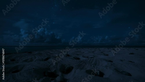 Wallpaper Mural Turtles on the beach laying eggs in a hole they have dug. At night. Torontodigital.ca