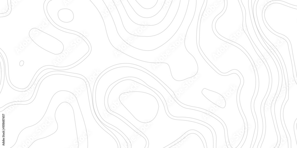 Abstract Contour Topographic Line Pattern in Black and White, Modern Wavy white topography abstracted on a white backdrop. Abstract Contour Topographic Line Pattern in Black and White, Modern Wavy white topography abstracted on a white backdrop.