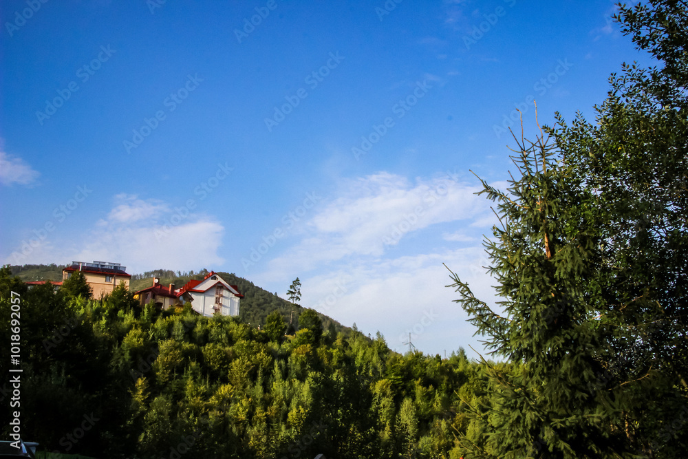 houses, roofs of hotels in the forest, mountains, panorama, summer houses, roofs of hotels in the forest, mountains, panorama, summer