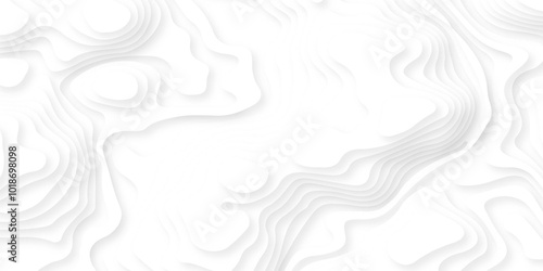 Paper topography pattern art 3d vector, Topographic canyon map light relief texture, curved layers and shadow. abstract curve line white background.