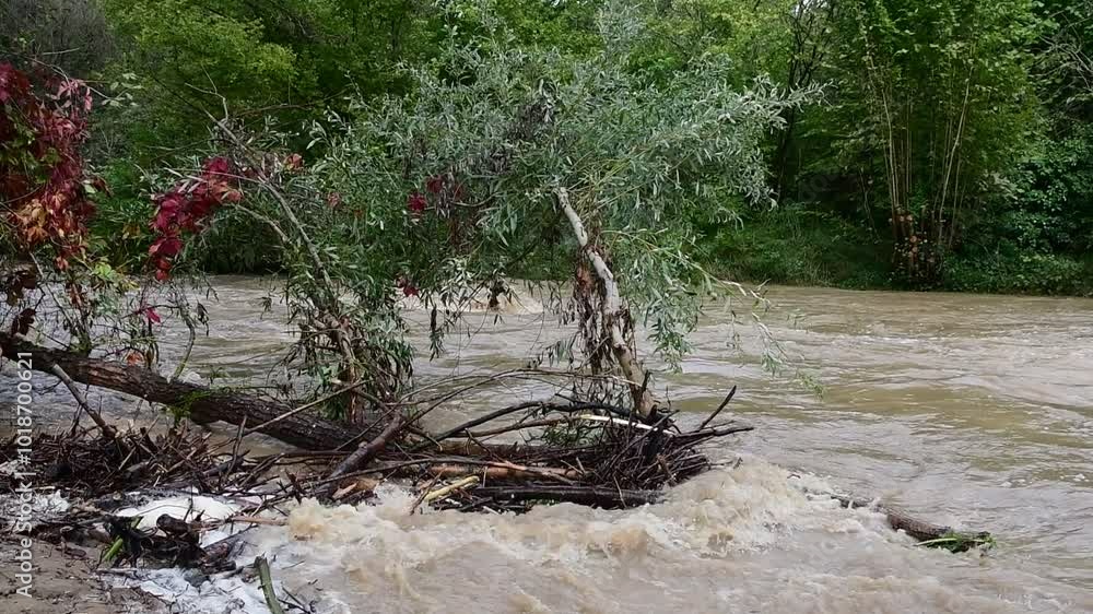 River in flood with flooding in Isere in France in autumn. River in flood with flooding in Isere in France in autumn.