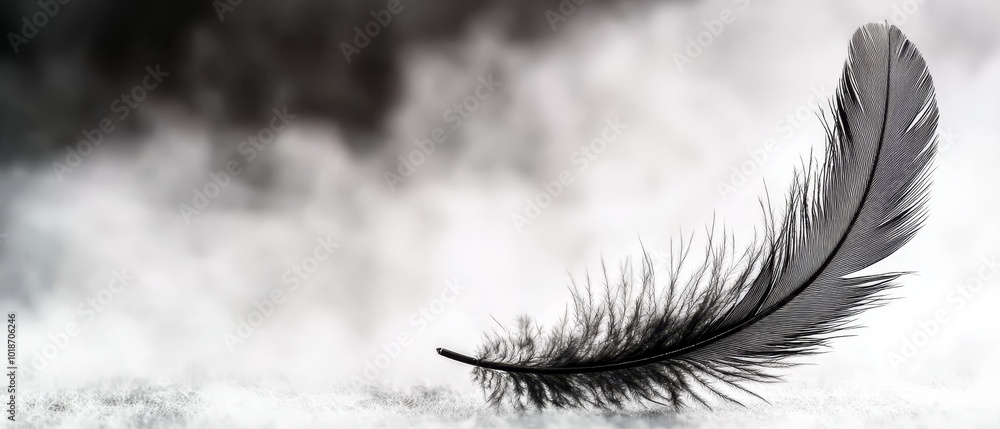 Fototapeta premium a feather against a contrasting white and black backdrop; a hazy sky in the distance