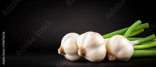  A table holds garlick and green onions in bunches