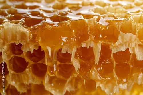 Honeycomb texture background with dripping tasty honey 