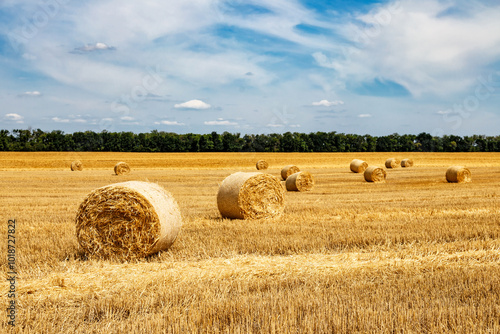 Closeup of a Yellow Round Straw Bale background.Field landscape with blue sky. Wheat field after harvesting.Harvesting hay bales.Haystacks.Farming