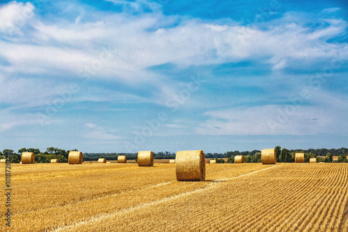 Closeup of a Yellow Round Straw Bale background.Field landscape with blue sky. Wheat field after harvesting.Harvesting hay bales.Haystacks.Farming