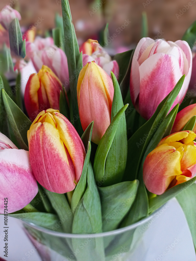 bouquet of tulips bouquet of tulips